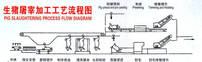 空氣能生豬屠宰加工工藝流程